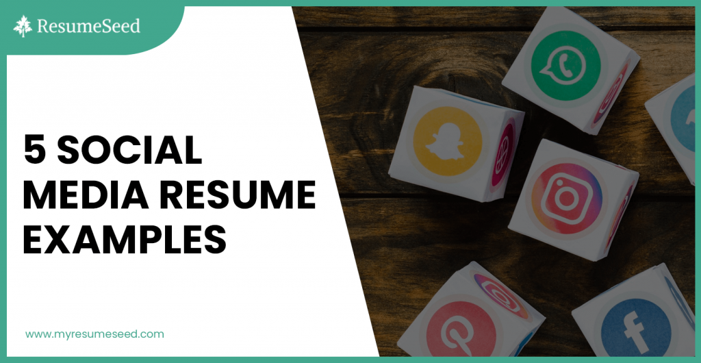 5 social media resume examples ResumeSeed